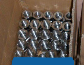 Duplex 2205 Fasteners export at Factory Rate
