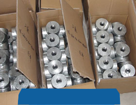 Duplex 2205 Forged Fitting Packed ready stock
