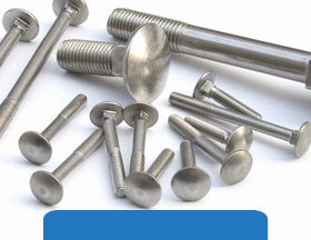 Hastelloy C22 Fasteners export at Factory Rate