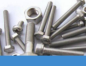 SS 310 / 310S Fasteners Packed ready stock